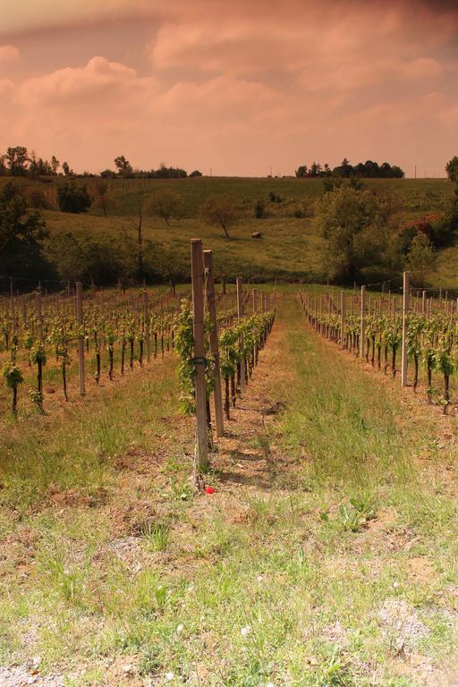 Agriturismo Le Casette Кастельветро-ди-Модена Экстерьер фото