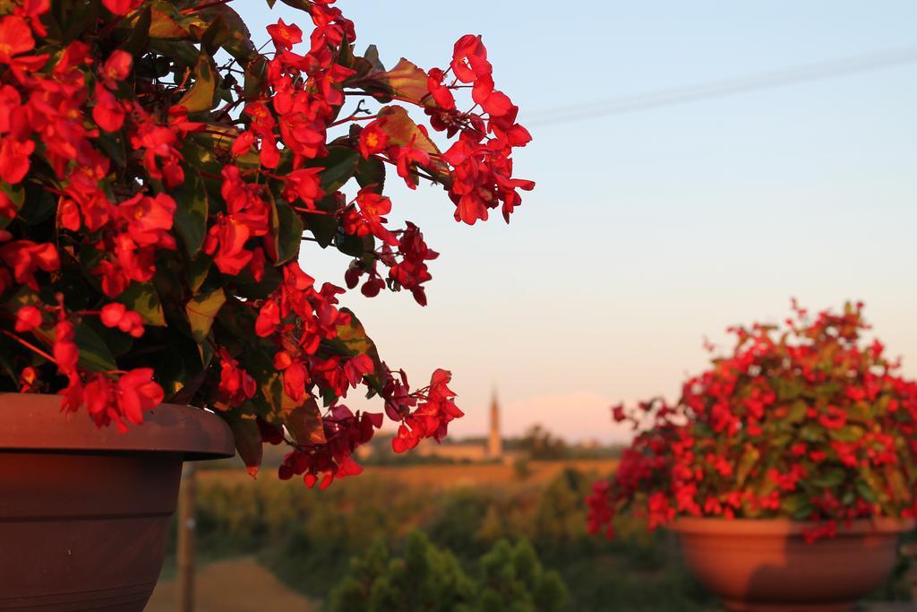 Agriturismo Le Casette Кастельветро-ди-Модена Экстерьер фото